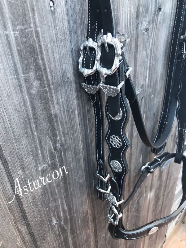 Zardan Portuguese Bridle